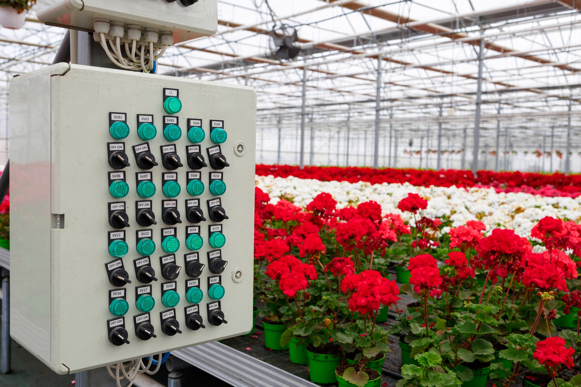 Electrical irrigation control panel in a modern greenhouse for growing flowers