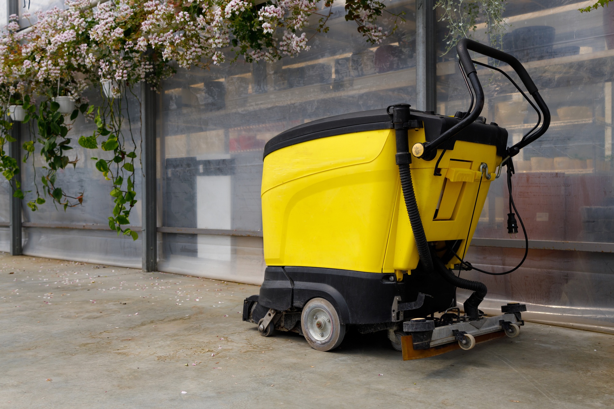 Floor washing machine in a flower greenhouse